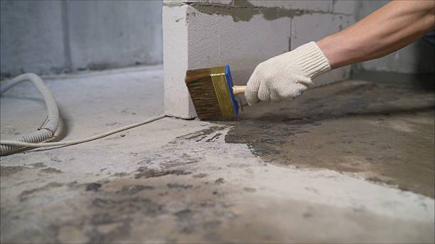24/7 Emergency Wet Basement Repair experts in Saint Paul, MN